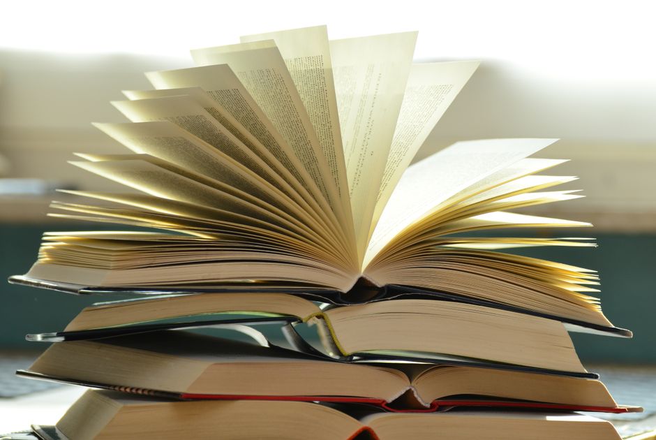 A vibrant collection of sociology books on a well-organized bookshelf.